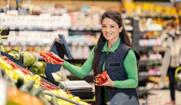 CV do Dino - jak napisać? Gdzie aplikować?