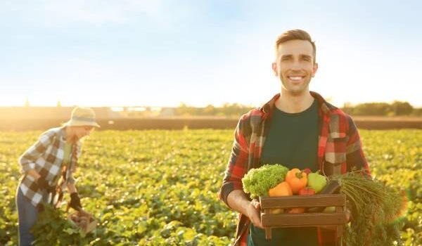 CV rolnika - jak napisać? Wzór i wskazówki