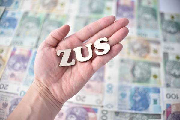 Mały ZUS