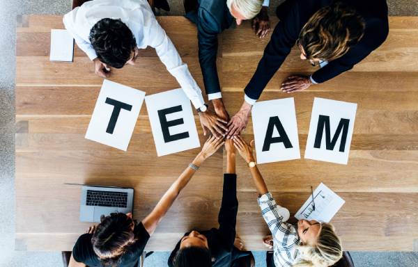 Wzór CV Team Leader